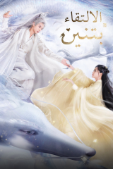 مسلسل الالتقاء بتنين Miss The Dragon