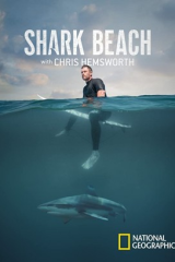 فيلم Shark Beach with Chris Hemsworth 2021 مترجم اون لاين
