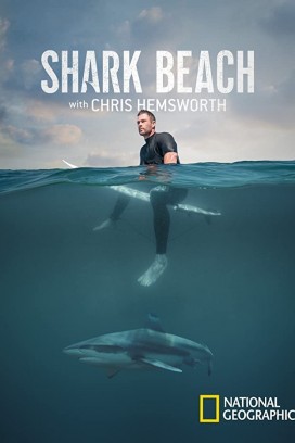 فيلم Shark Beach with Chris Hemsworth 2021 مترجم اون لاين