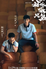 مسلسل I Want To Be Brothers With You مترجم