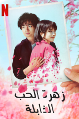 فيلم Love Like the Falling Petals / زهرة الحب الذابلة 2022 مترجم