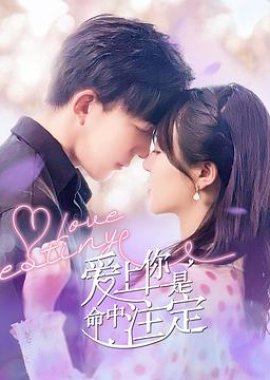 مسلسل Love Destiny حب مقدر مترجم