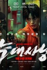 فيلم مشروع صيد ذئب / مشروع صيد ذئب مترجم