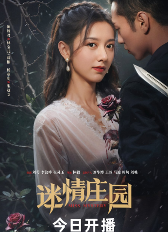 مسلسل Miss Mystery  /سيدة الغموض مترجم