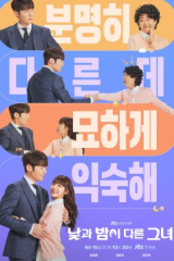 مسلسل آنسة الليل والنهار/ Miss Night And Day مترجم