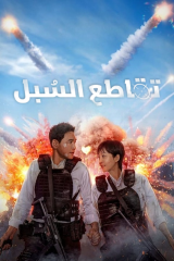 فيلم  تقاطع السبل /Mission Cross 2024 مترجم