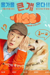 مسلسل Dog Knows Everything / الكلب يعرف كل شيء  مترجم